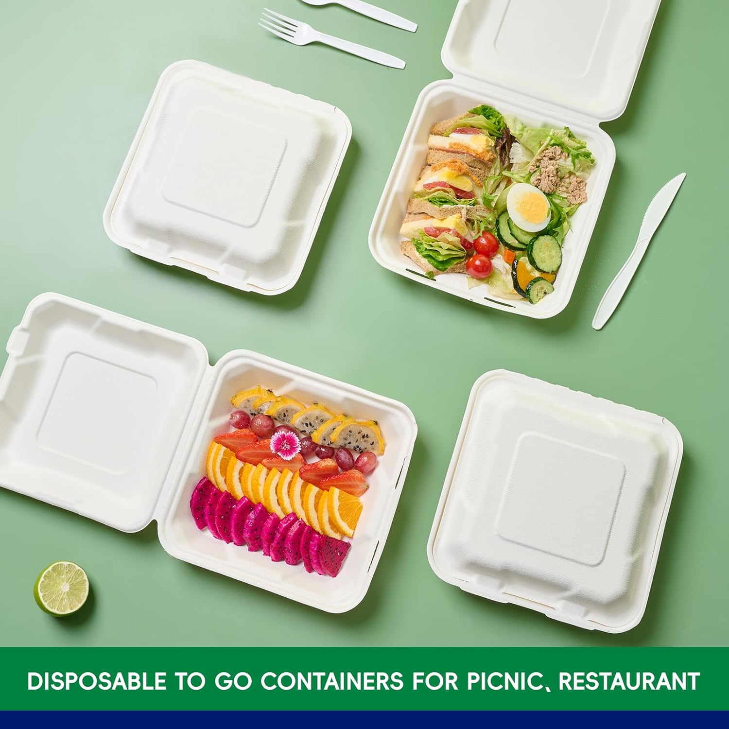 71IrTcx0dBL._AC_SL1500_